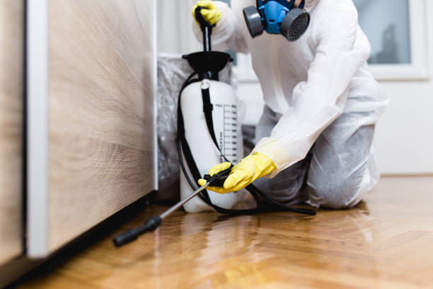 Best Residential Pest Control  in Mickleton, NJ