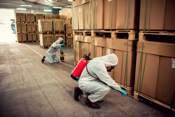 Best Best Pest Control Companies  in Mickleton, NJ