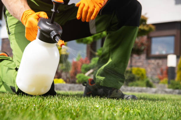 Best Pest Removal Services  in Mickleton, NJ