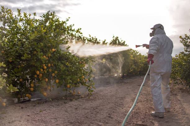 Best Insect Control  in Mickleton, NJ
