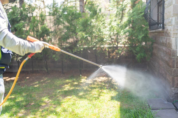 Best Emergency Pest Control  in Mickleton, NJ