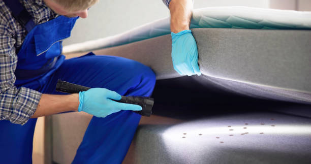 Best Exterminator Services  in Mickleton, NJ