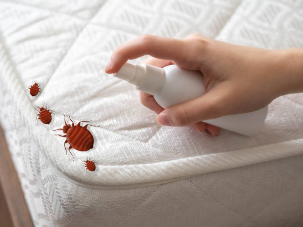 Best Pest Removal Services  in Mickleton, NJ