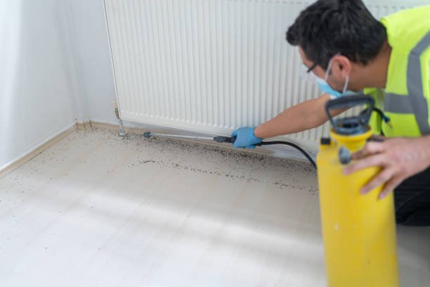 Best Affordable Pest Control Services  in Mickleton, NJ